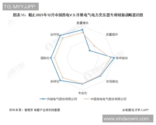 西安排球队实力深度解析与对比分析报告